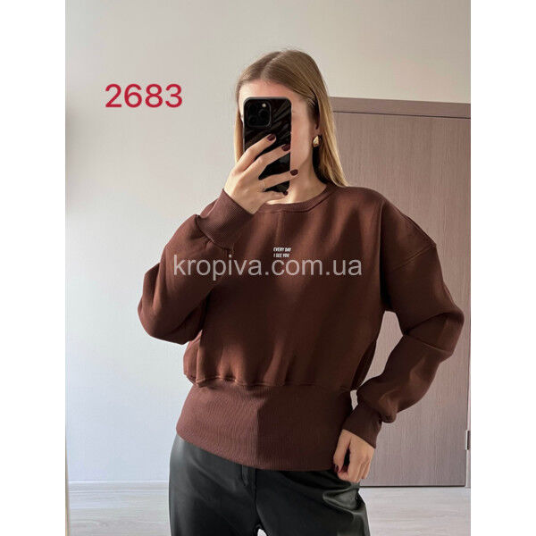 Женская кофта 2683 норма микс оптом 291024-195