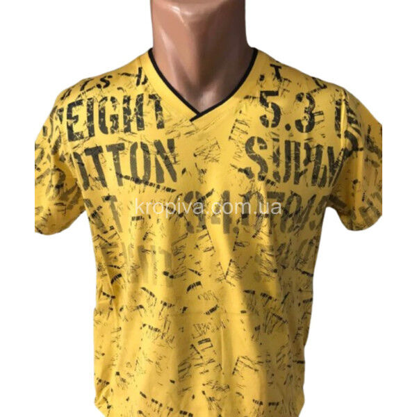 Мужская футболка норма оптом 200225-038