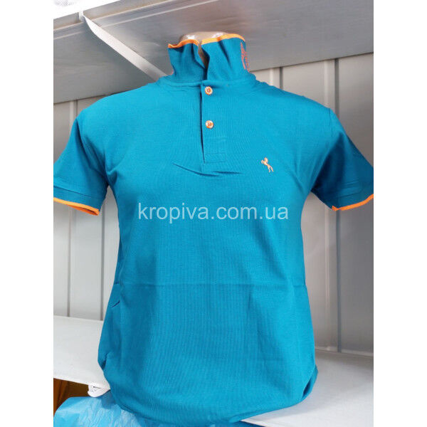 Чоловічі футболки-поло норми Туреччина ELVIS оптом  (190325-624)