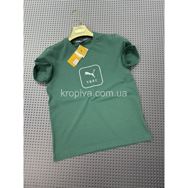 Мужская футболка норма Турция оптом 020425-789