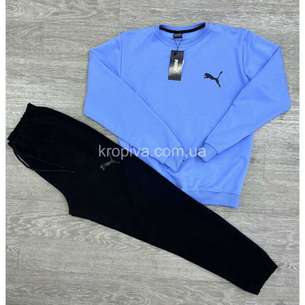 Мужской спортивный костюм 241/90 норма оптом 260825-616