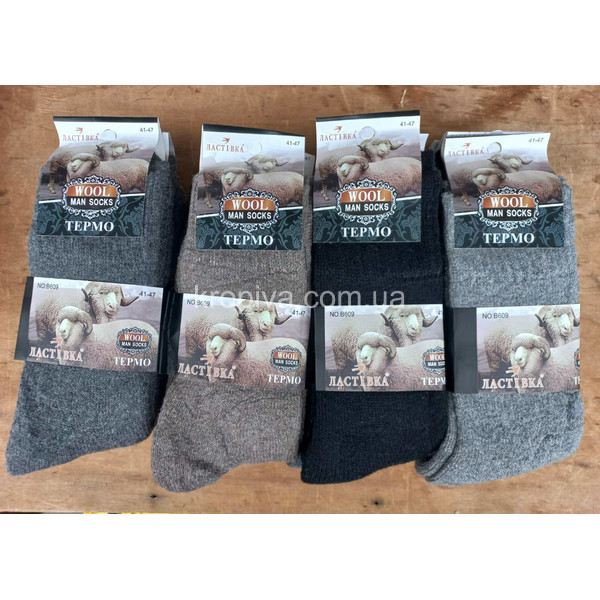 Мужские носки термо оптом 071025-613