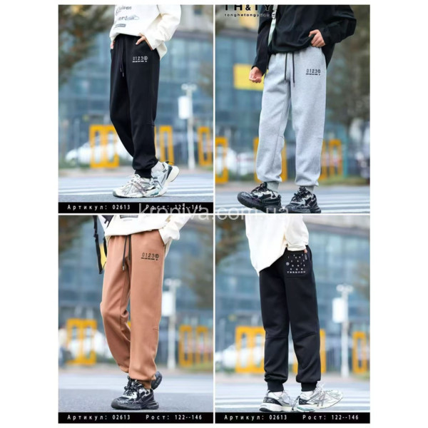 Дитячі спортивні штани 02613 оптом 100126-149