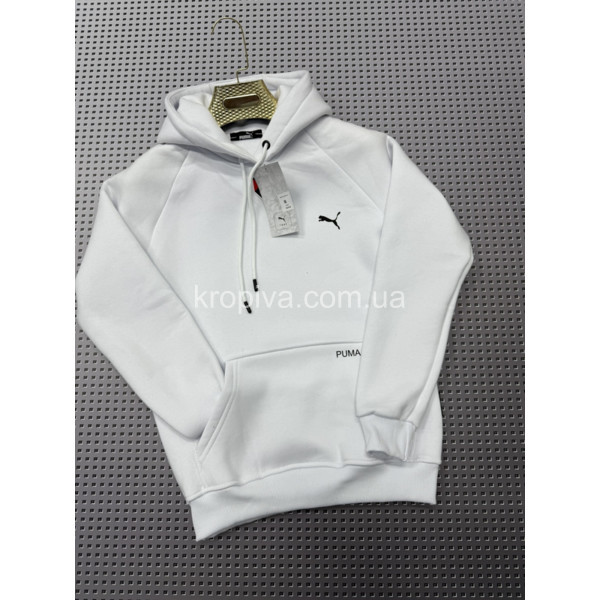 Чоловіча кофта тринитка норма Туреччина оптом 120126-667