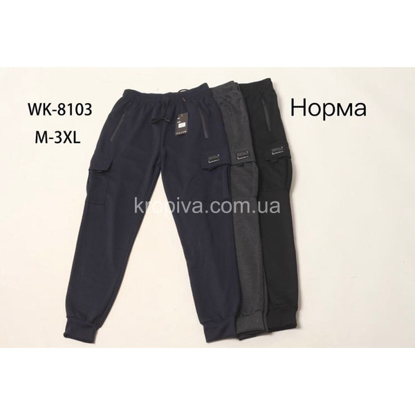 Мужские тонкие штаны  оптом 040226-35