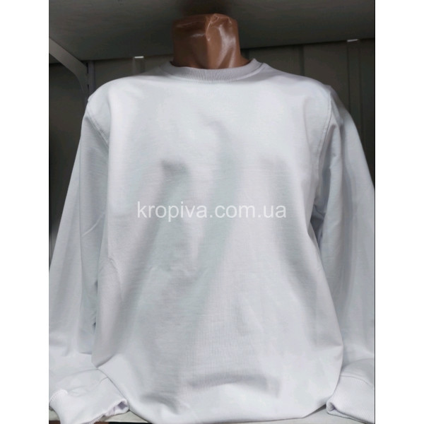 Чоловічий батник норма Туреччина VIPSTAR оптом 080226-796