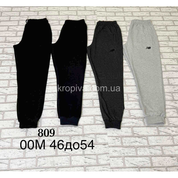 Чоловічі спортивні штани норма оптом 090226-606