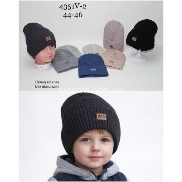 Дитяча шапка оптом 120226-238