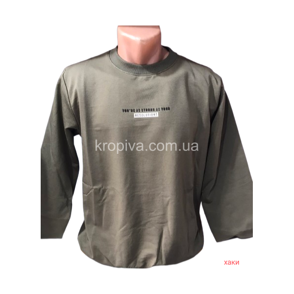 Мужской свитшот норма оптом 130226-0172