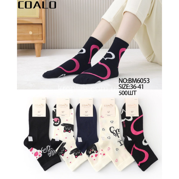 Жіночі шкарпетки оптом 010326-740