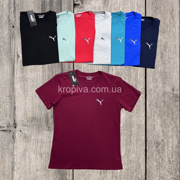 Чоловічі футболки кулір норма Туреччина оптом 030523-631
