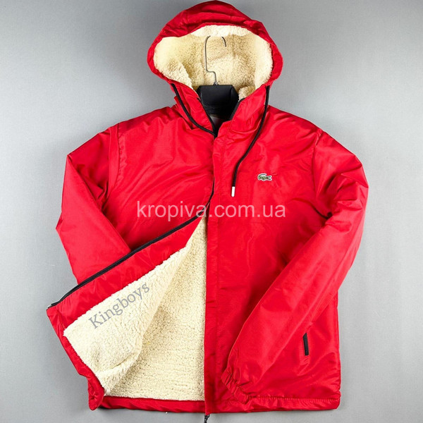 Чоловіча куртка зима норма Туреччина оптом  (011123-784)