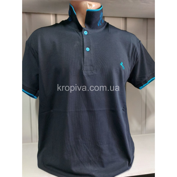 Чоловічі футболки-поло норми Туреччина ELVIS оптом 010424-794