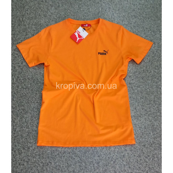 Чоловічі футболки норма Туреччина оптом 210524-643