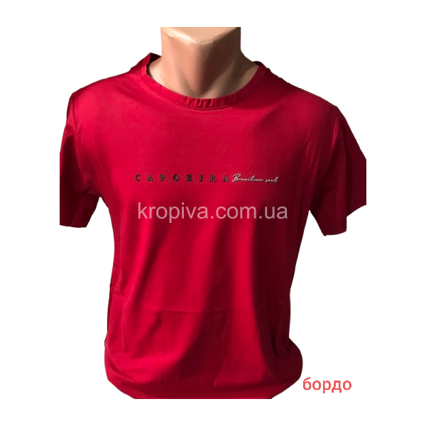 Мужская футболка норма оптом  (230225-002)