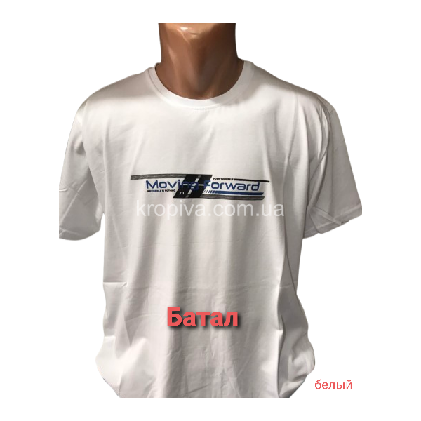 Чоловічі футболки оптом 110425-029