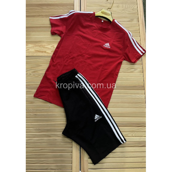 Чоловічий костюм норма оптом 040525-394