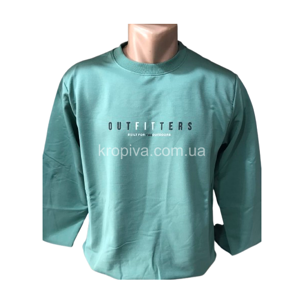 Мужской свитшот норма оптом 200825-018