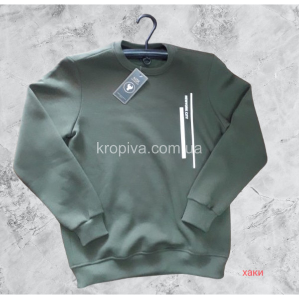 Чоловічий світшот норма оптом 071225-064