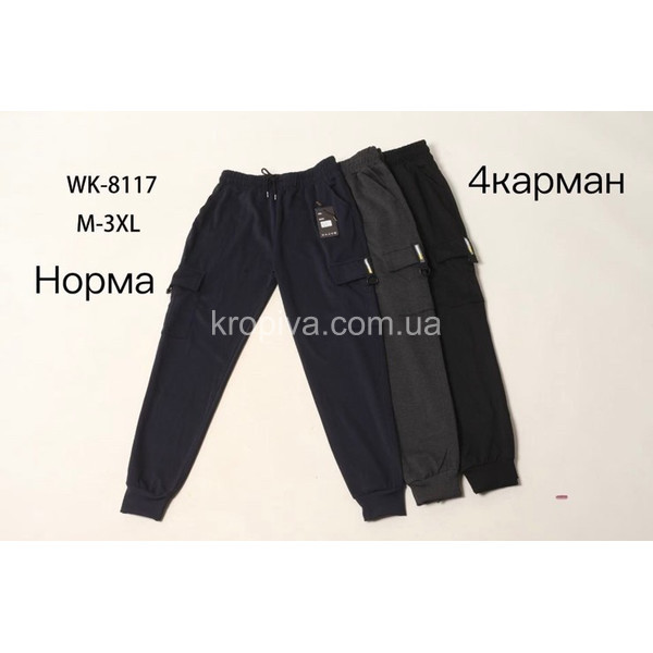 Мужские тонкие штаны  оптом 040226-36