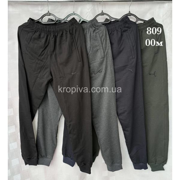 Чоловічі спортивні штани норма оптом 080226-797