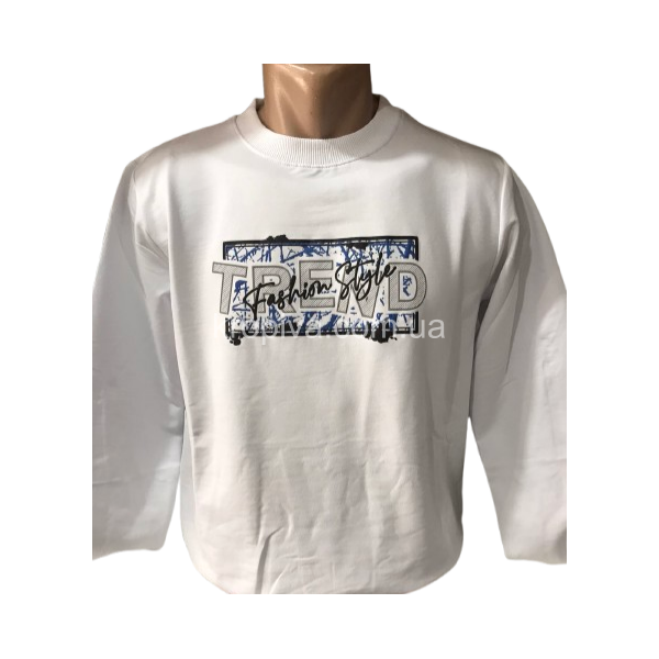 Мужской свитшот норма оптом 130226-0183