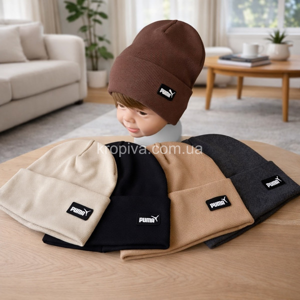 Детская  шапка оптом 240226-132