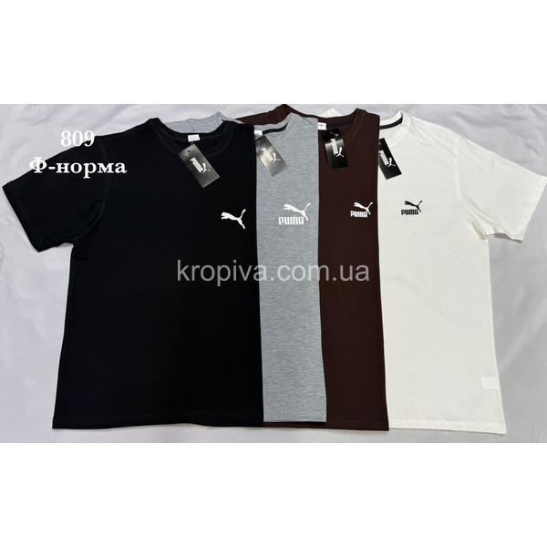 Мужская футболка норма оптом 290326-621