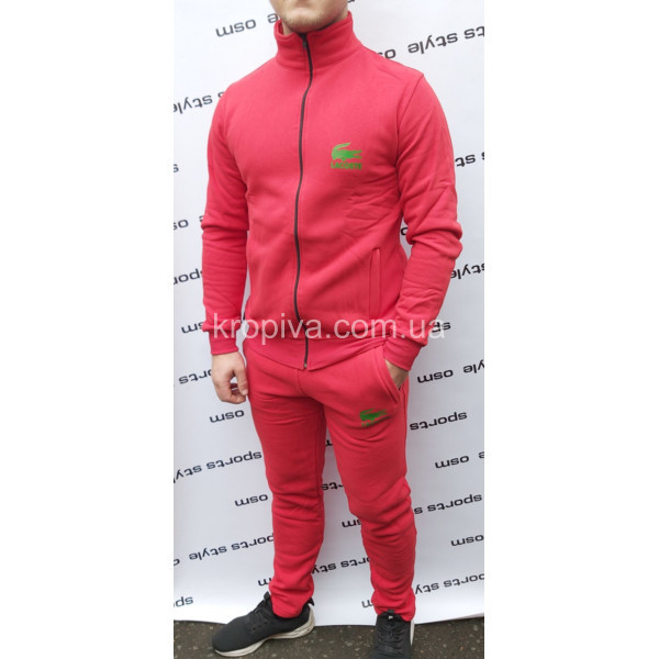 Мужской спортивный костюм на флисе норма оптом  (281020-239)