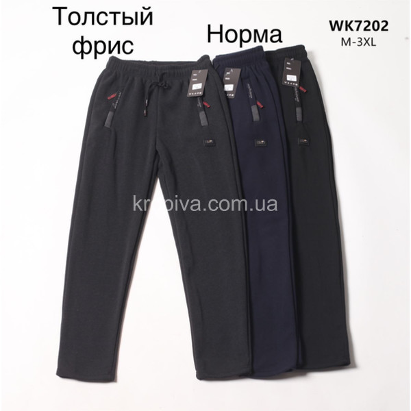 Чоловічі спортивні штани норма оптом 161123-48