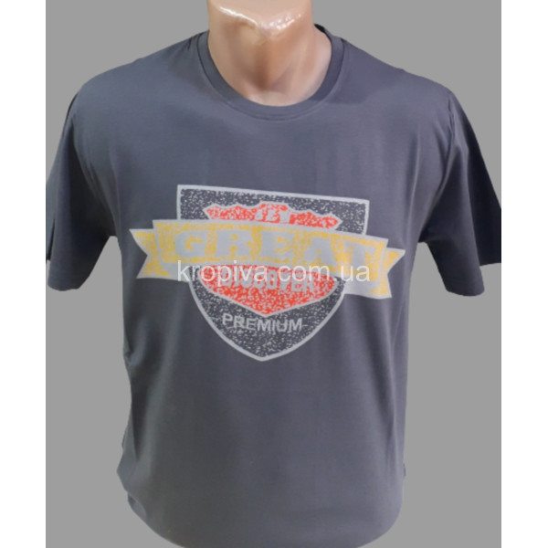 Мужская футболка норма оптом  (020224-077)