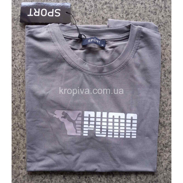 Мужская футболка норма Турция оптом 190325-734