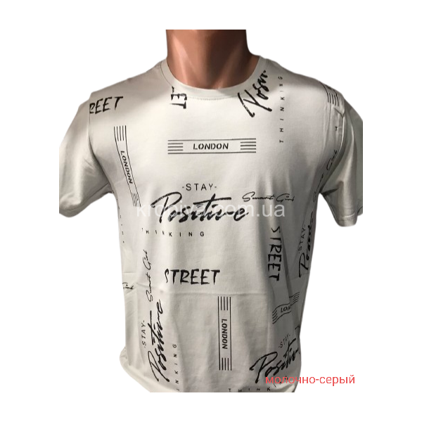 Мужская футболка норма оптом 110425-020