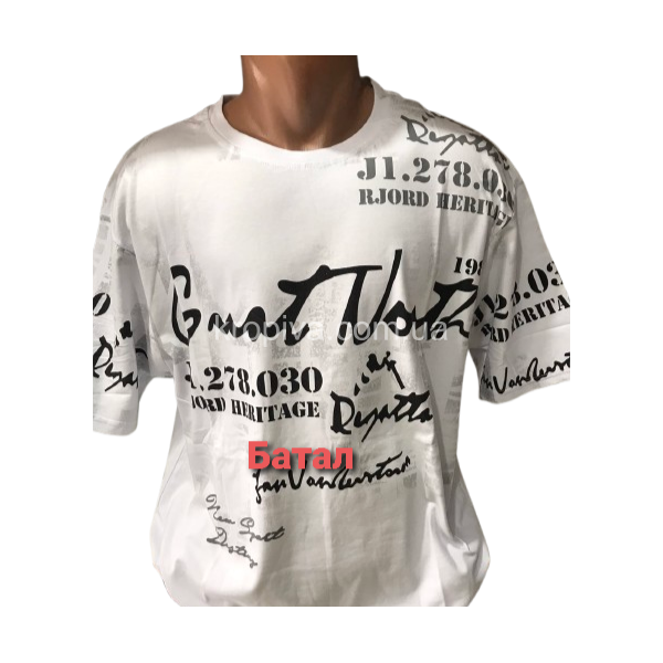 Мужская футболка батал оптом 090525-014