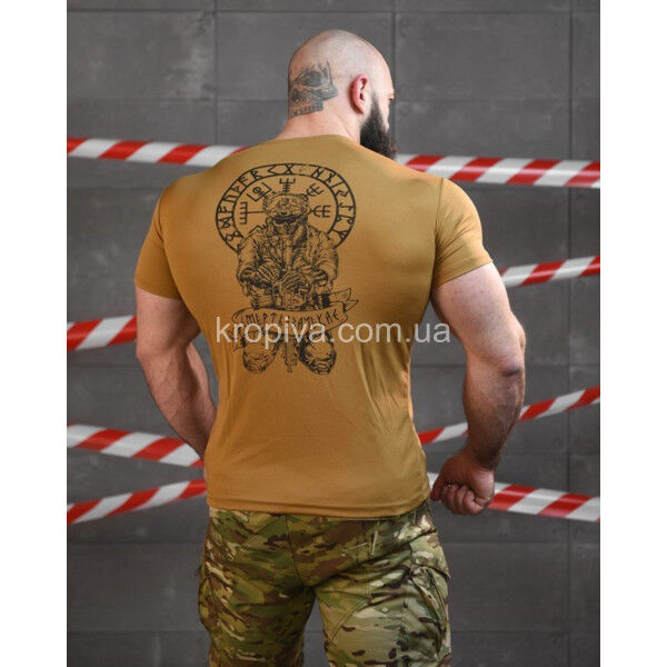 Мужская футболка Coolmax оптом 030625-016