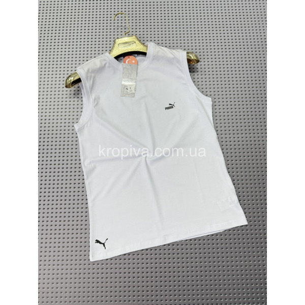 Мужская безрукавка норма Турция оптом 230625-731