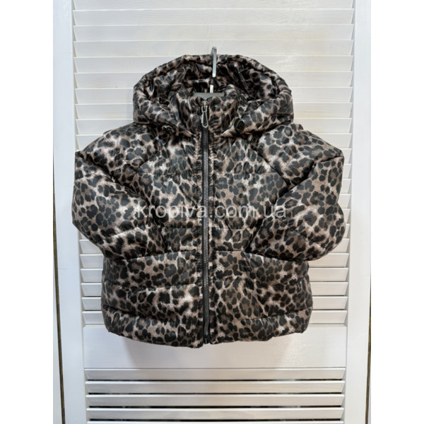 Детская куртка реглан осень/весна оптом 240825-714