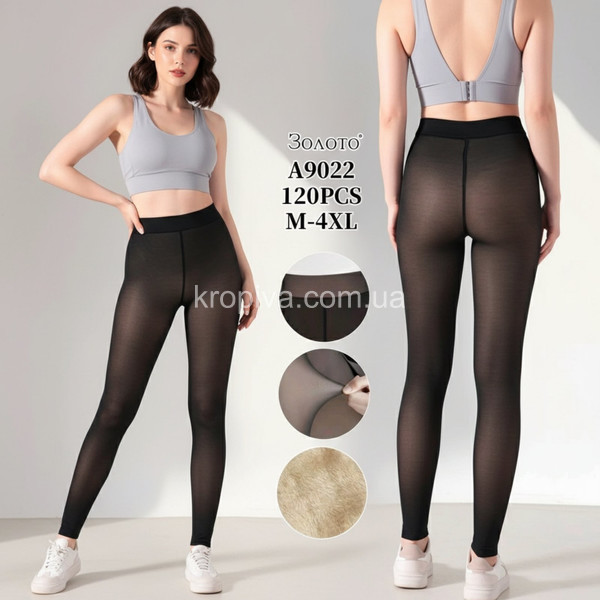 Жіночі колготки оптом 241025-129