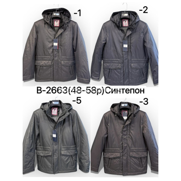 Мужская куртка норма осень/весна оптом 160126-697