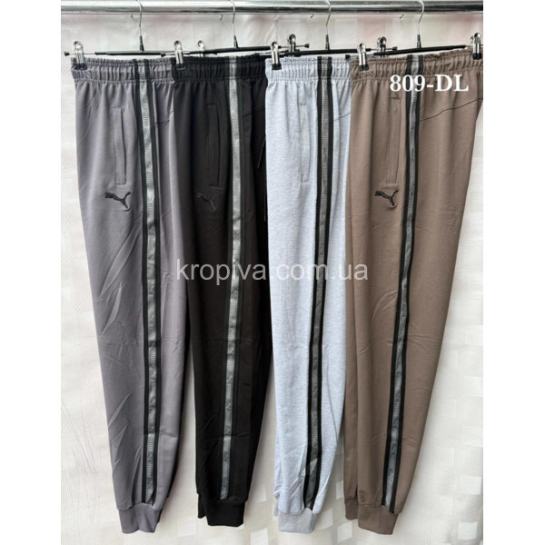 Чоловічі спортивні штани норма оптом 090226-628