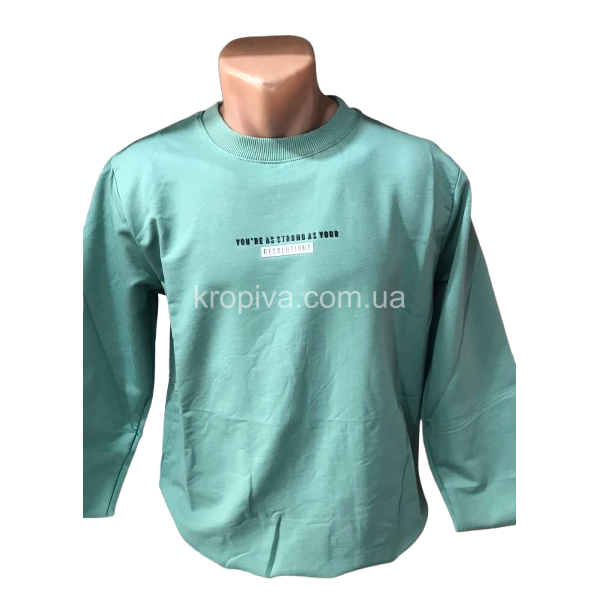 Мужской свитшот норма оптом 130226-0174