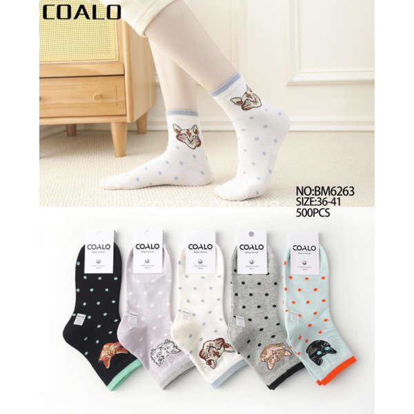 Жіночі шкарпетки оптом 010326-732