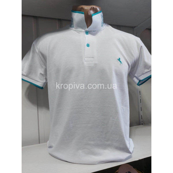 Чоловічі футболки норма Туреччина ELVIS оптом 250523-679