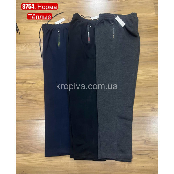 Мужские спортивные штаны на флисе норма оптом 100124-637