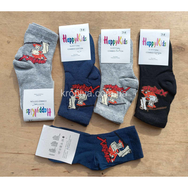 Дитячі шкарпетки 3-5 років оптом 200324-799
