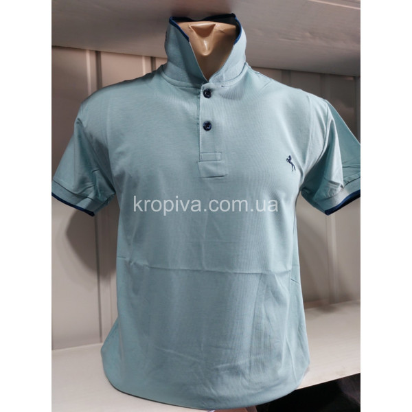 Чоловічі футболки-поло норма Туреччина ELVIS оптом  (020424-603)