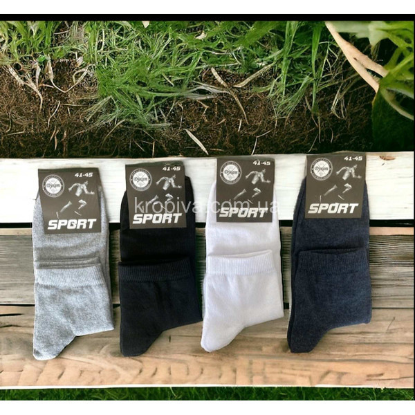Чоловічі шкарпетки спорт оптом  (080424-792)