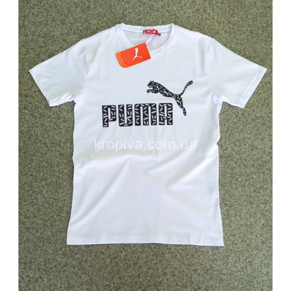 Чоловічі футболки норма Туреччина оптом 120524-669