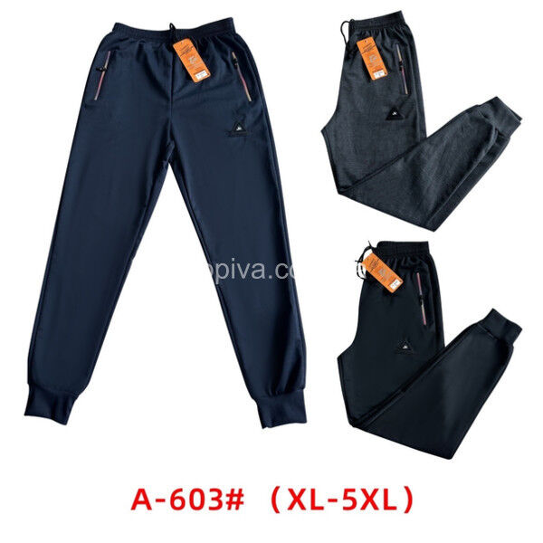 Мужские спортивные штаны норма оптом 210724-63