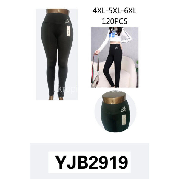 Женские лосины 2947 батал оптом 021224-341